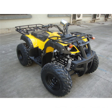 Factory Lowest Price Full Size ATV 250cc (JY-200-1A)